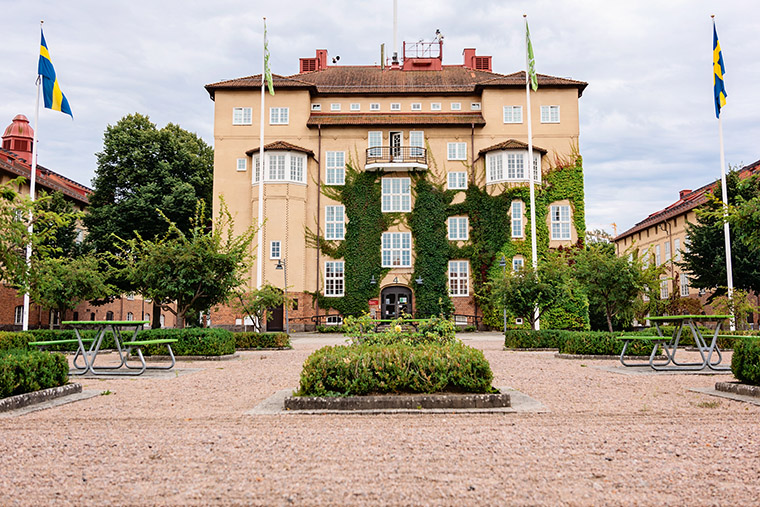 Master of Science in Accounting and Auditing for Sustainable Business Management