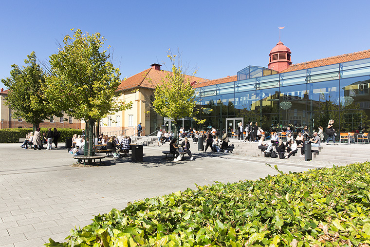 Master Programme in Computer Science, specialization in Machine Learning, One Year 